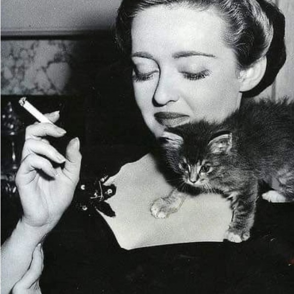 Meet your Posher, TRose Posh Ambassador - Picture 4 of 10